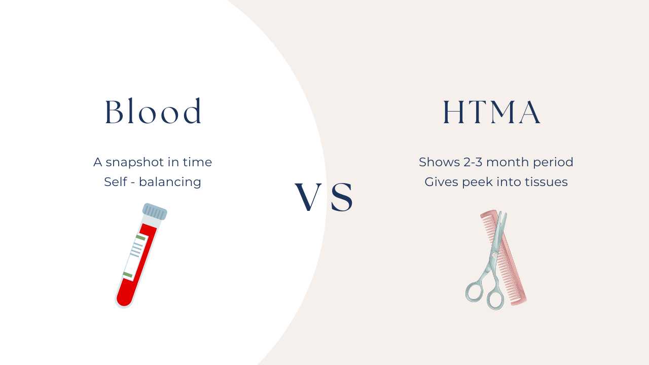 fertility blood test, fertility lab work, men's fertility test, fertility test for men, HTMA